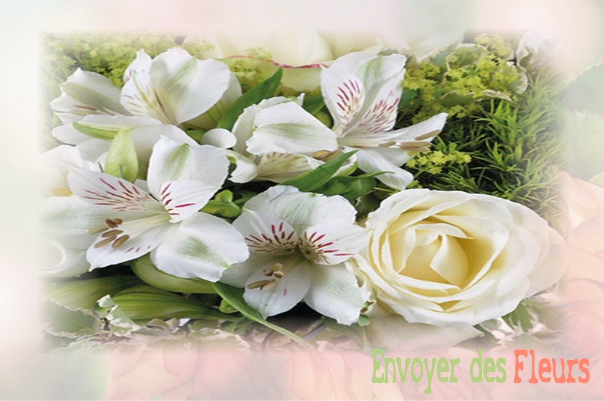 envoyer des fleurs à à SAINT-HILAIRE-COTTES